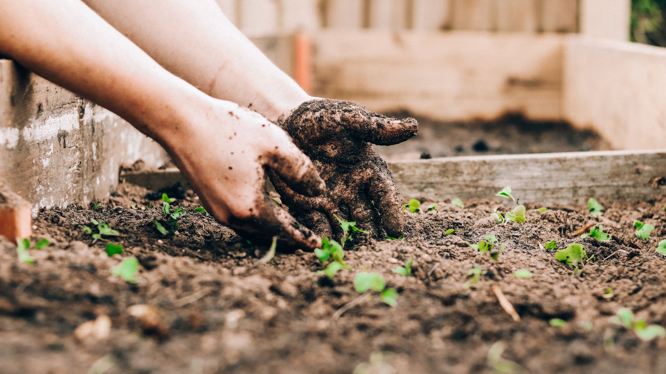 Planting a Church: 5 Keys to Help You Succeed